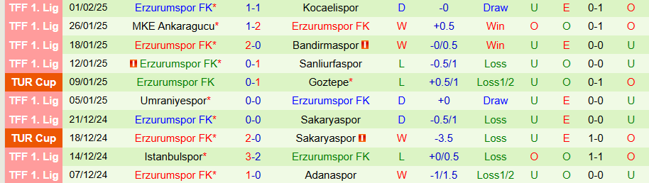 Nhận định, Soi kèo Fenerbahce vs Erzurumspor, 00h30 ngày 6/2 - Ảnh 1