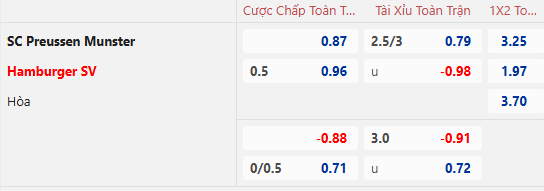 Nhận định, soi kèo Preussen Munster vs Hamburg, 0h30 ngày 8/2: Nỗi lo xa nhà - Ảnh 1