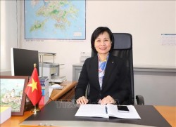 75 năm quan hệ Việt Nam-Trung Quốc: Những kết nối lịch sử tạo nền tảng vững chắc cho tương lai hợp tác rộng mở