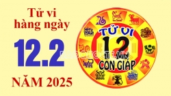 Tử vi hôm nay, xem tử vi 12 con giáp hôm nay ngày 12/2/2025: Tuổi Hợi làm việc hiệu quả